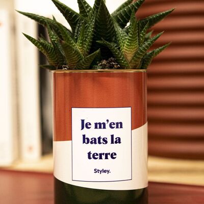 Non me ne frega niente - Cactus