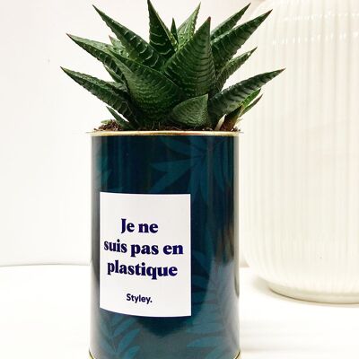 Non sono di plastica - Cactus