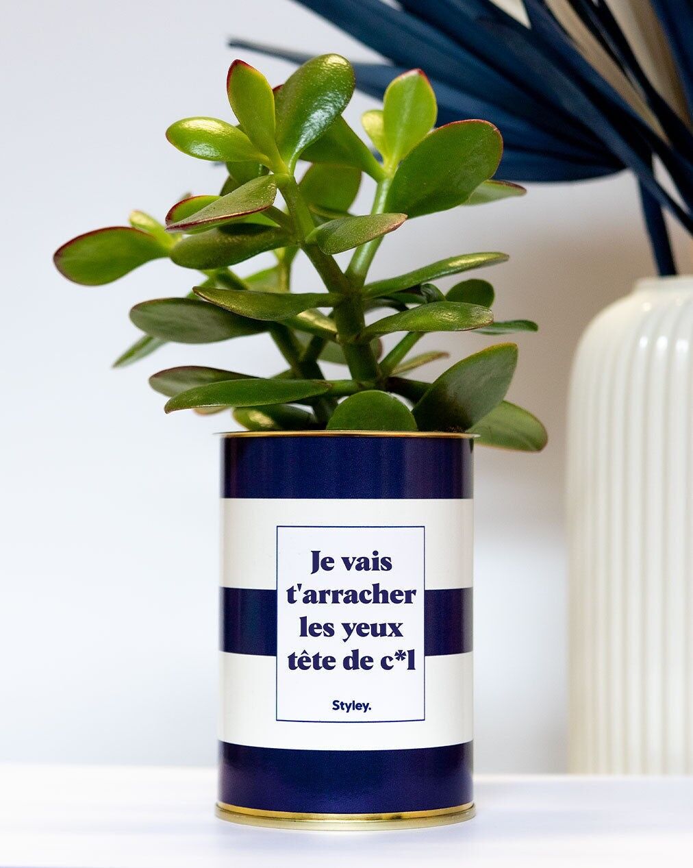 Ti strapperò gli occhi, stronzo - Cactus