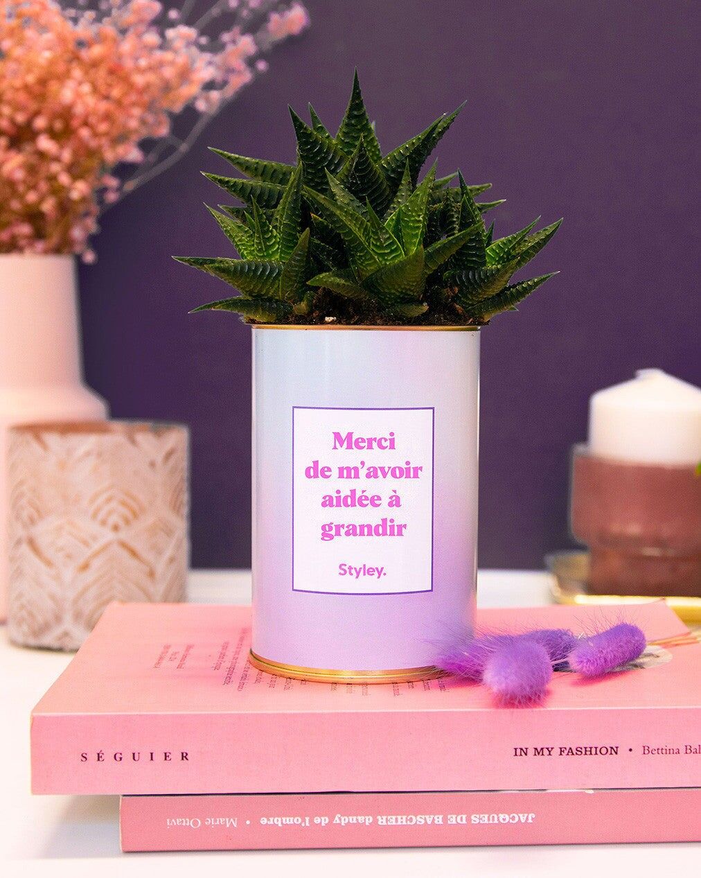 Grazie per avermi aiutato a crescere - Cactus