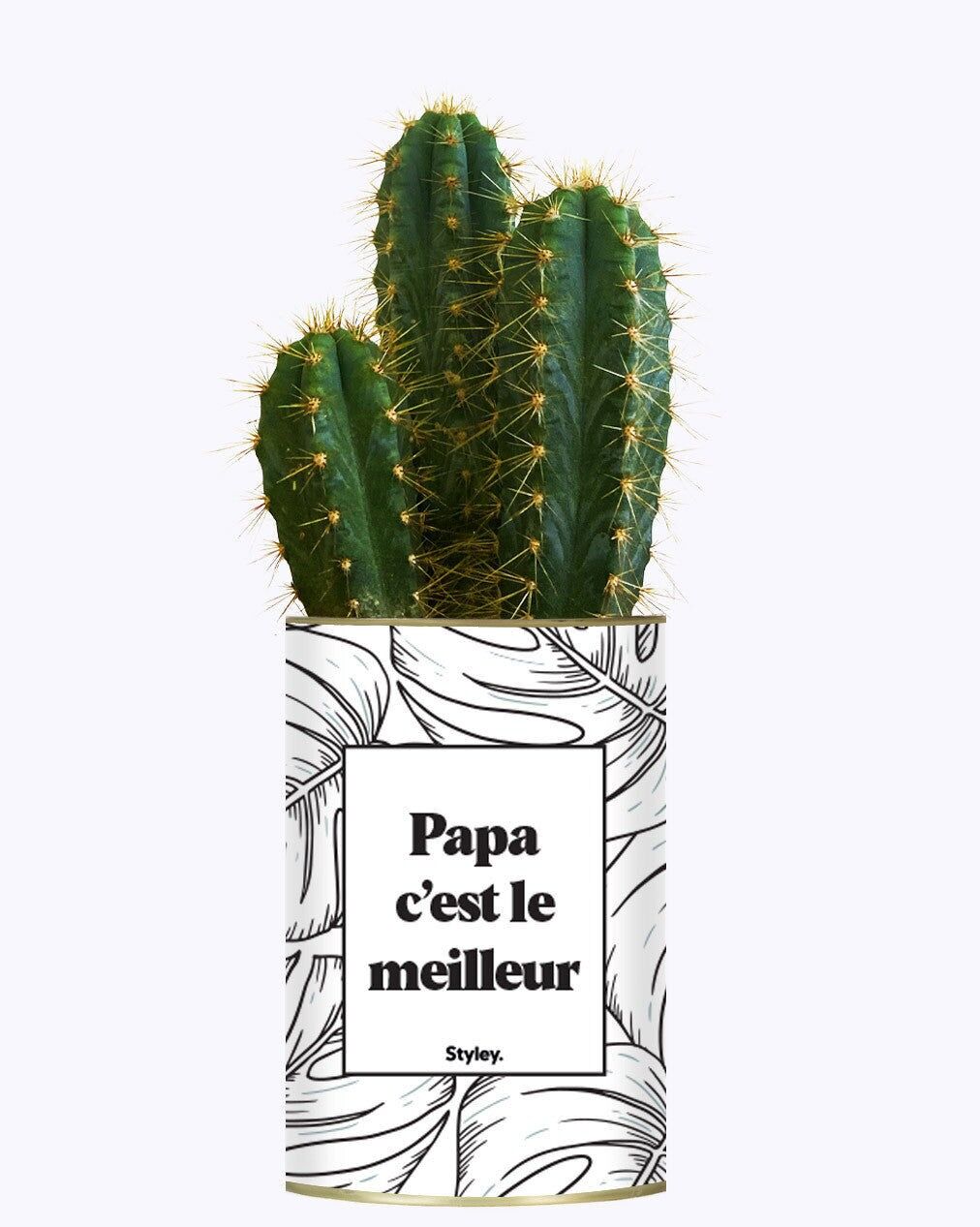 Papà è il migliore - Cactus