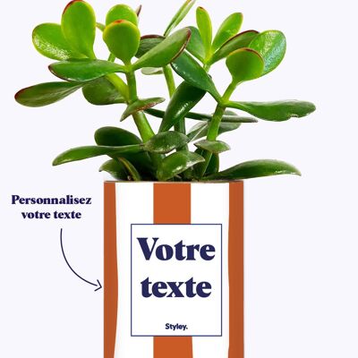 Strisce di terracotta - Pianta personalizzabile