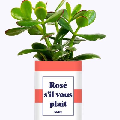 Per favore, rosé - Cactus
