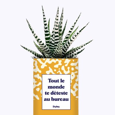 Tutti ti odiano in ufficio - Cactus