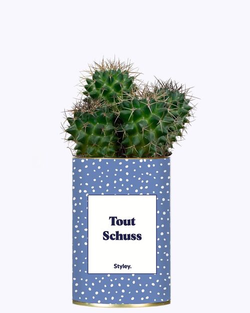 Tout Schuss - Cactus