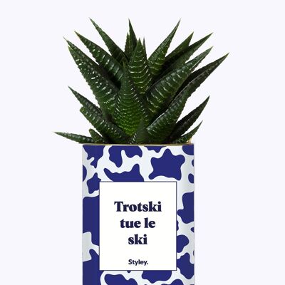 Trotsky uccide lo sci - Cactus
