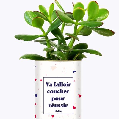 Per avere successo dovrai andare a letto con chiunque - Cactus