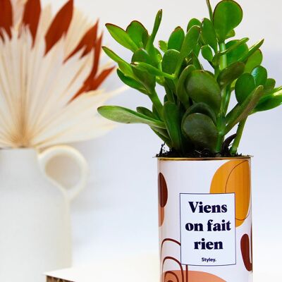 Dai, non facciamo niente - Cactus