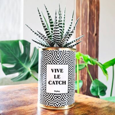 Lunga vita al wrestling - Cactus