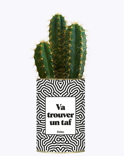 Va trouver un taf - Cactus