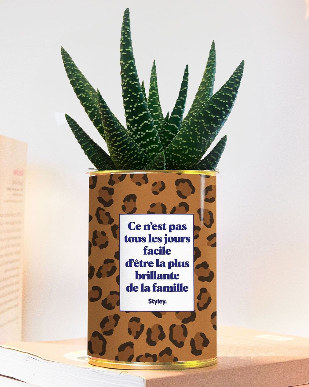 Es ist nicht leicht, jeden Tag der Klügste in der Familie zu sein - Succulent