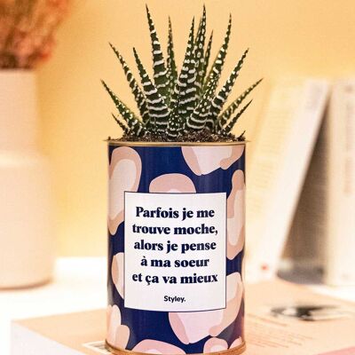 Ugly Sister - Cactus