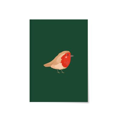 Robin | Cuaderno A6