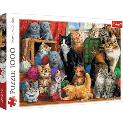 Chats - Puzzle 1000 pièces