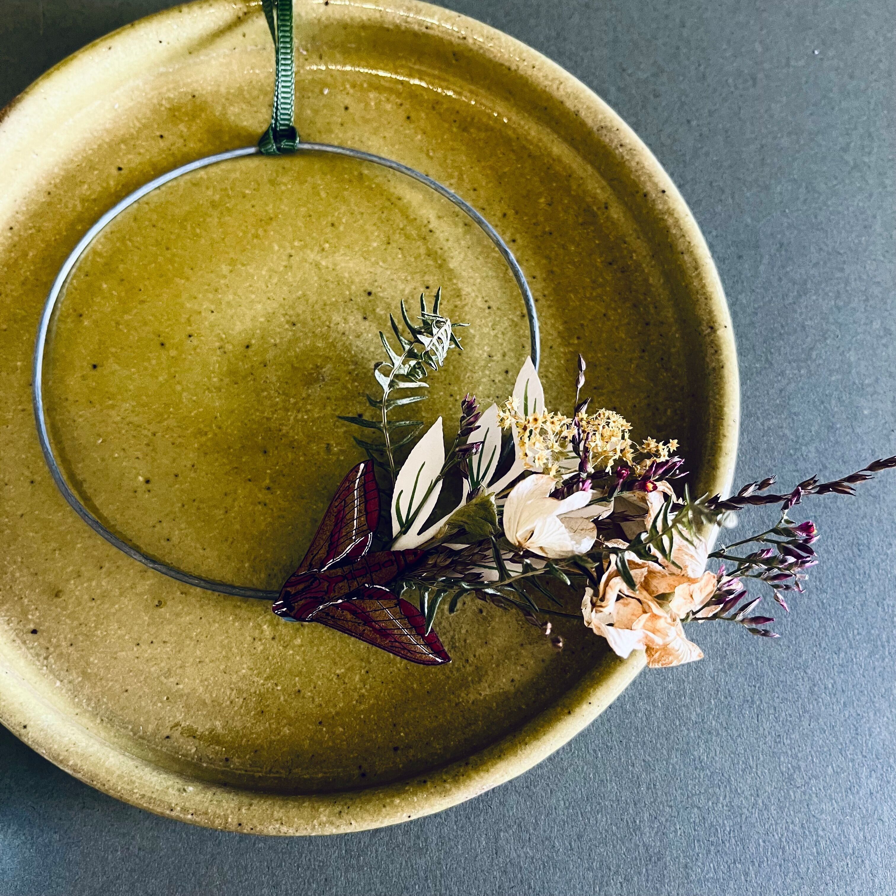 Corona pequeña de polilla halcón elefante