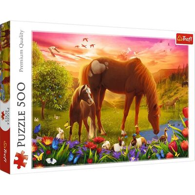 Cavalli nel prato - Puzzle 500 pezzi