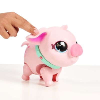Piccoli animali domestici vivi: il mio maialino domestico Piggly