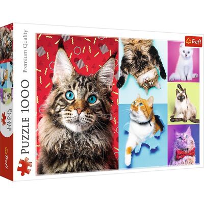 Gatos Felices - Puzzle 1000 piezas