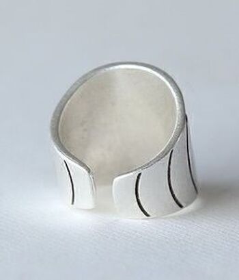 Bague Terre argent 2