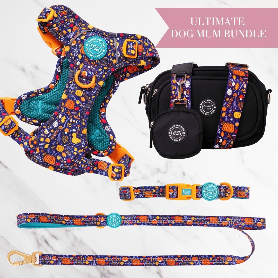 Bewitched Adjustable Dog Harness, Lead, Collar & Dog Walking Bag Bundle