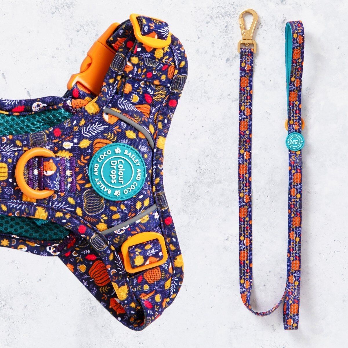 Trail & Glow® Dog Lead 5ft - COLOUR DROPS® - Bewitched