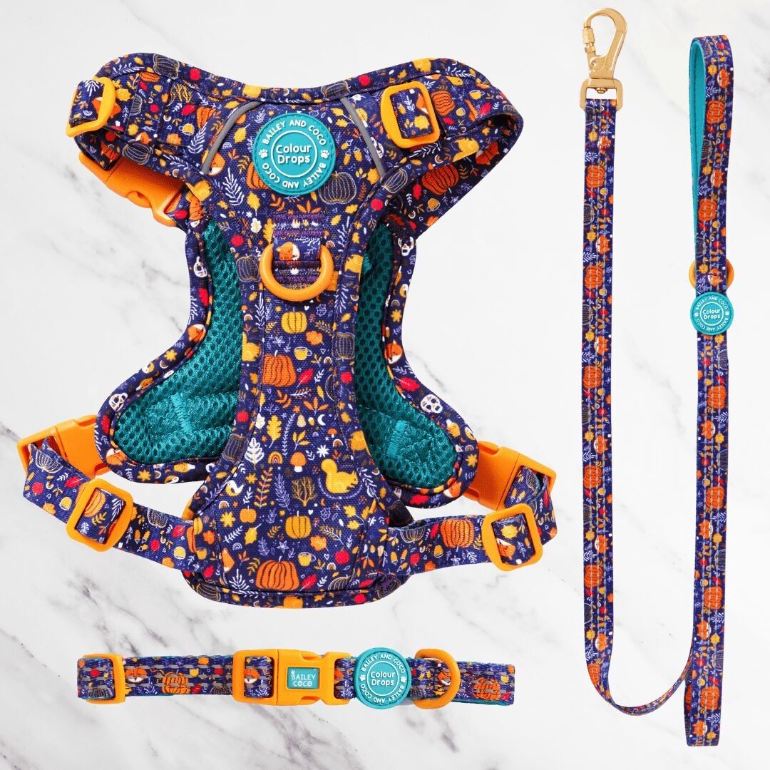 Bewitched Adjustable Dog Harness, Lead & Collar Bundle