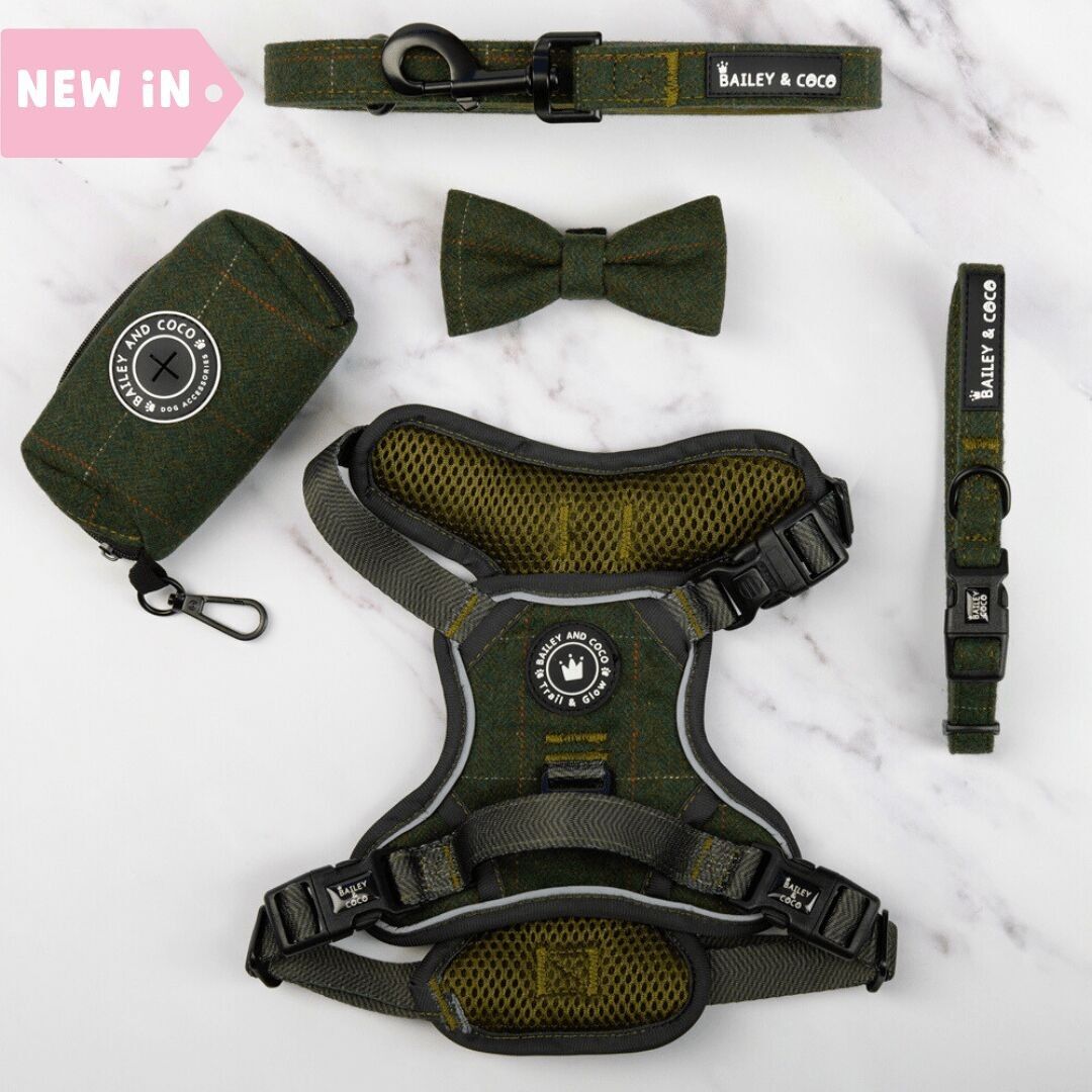 Conjunto de arnés para perros Trail & Glow® - Forest Tweed