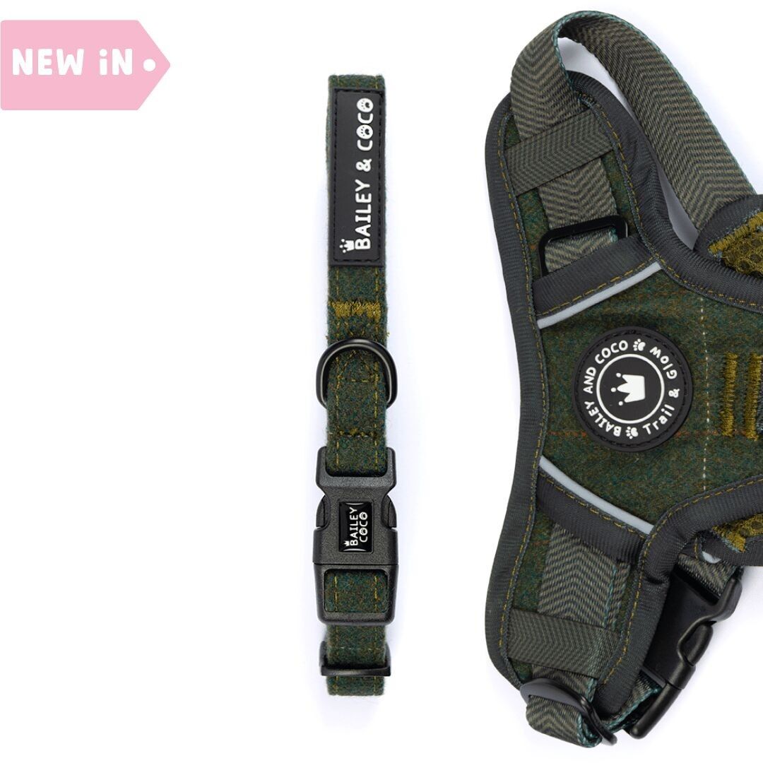 Cuello ajustable - Forest Tweed