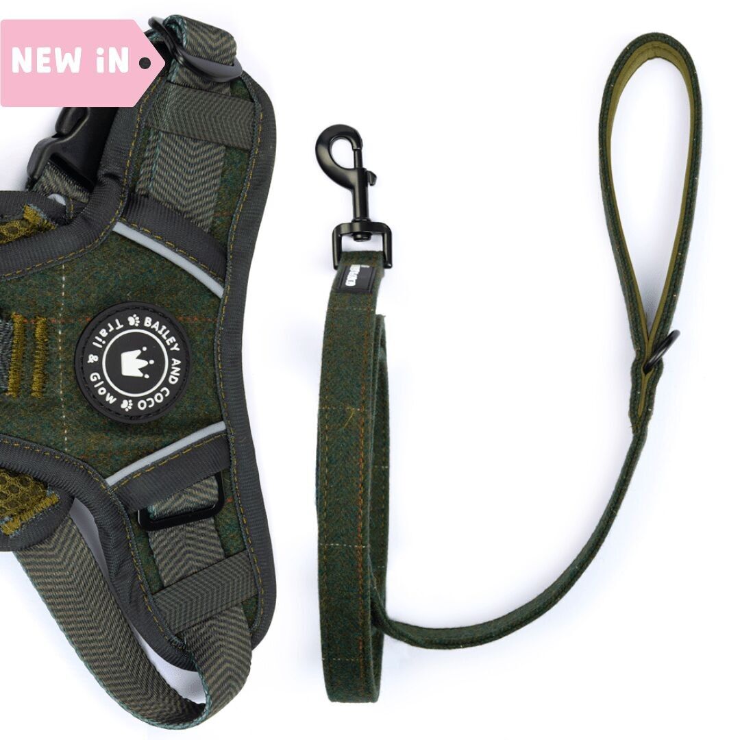Correa para perros de 1,5 m - Forest Tweed