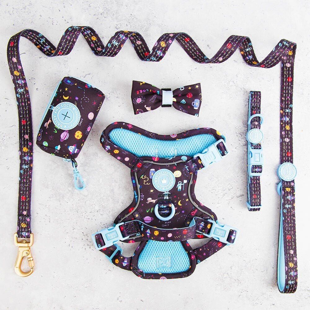 Conjunto de arnés para perros Trail & Glow® - COLOUR DROPS® - Space Paws