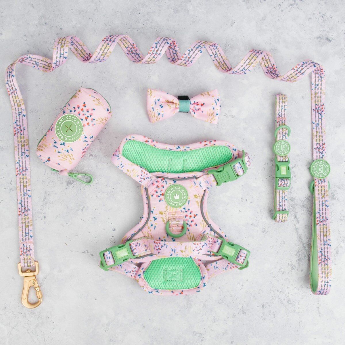 Conjunto de arnés para perros Trail & Glow® - COLOUR DROPS® - Pick Me