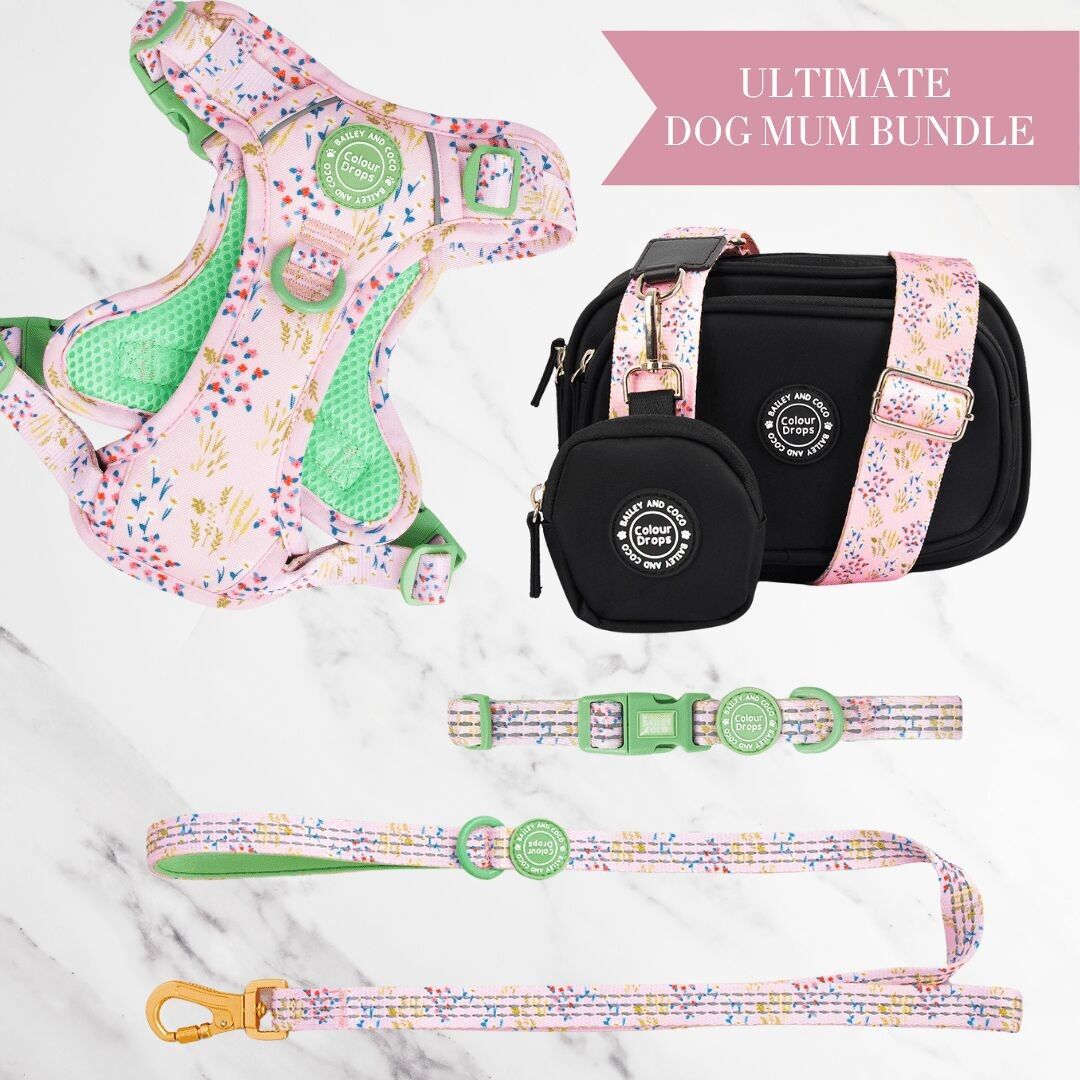 Conjunto de arnés ajustable para perro, correa, collar y bolsa de paseo Pick Me