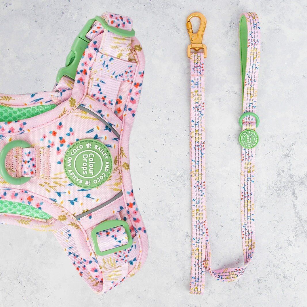 Correa para perros Trail & Glow® de 1,5 m - COLOUR DROPS® - Pick Me