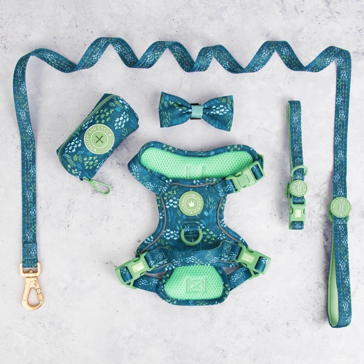 Conjunto de arnés para perros Trail & Glow® - COLOUR DROPS® - Touch Grass