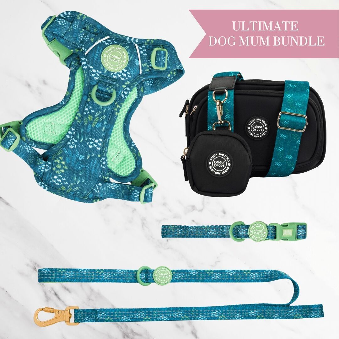 Arnés ajustable para perros Touch Grass, correa, collar y bolsa de paseo