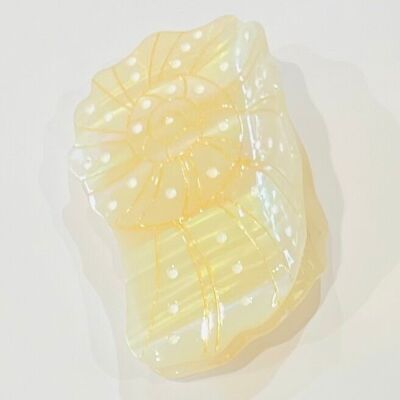 Large nautilus shell hair clip accessory