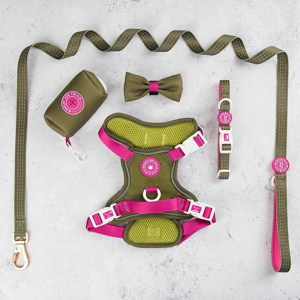 Conjunto de arnés para perros Trail & Glow® - COLOUR DROPS® - Olive it Hot