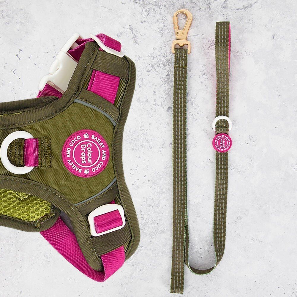 Correa para perros Trail & Glow® de 1,5 m - COLOUR DROPS® - Olive it Hot