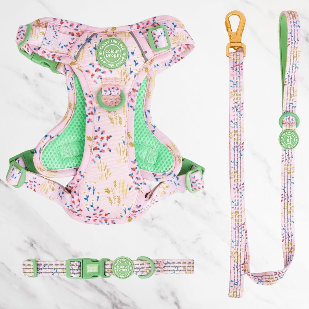 Pick Me Adjustable Dog Harness, Lead & Collar Bundle
