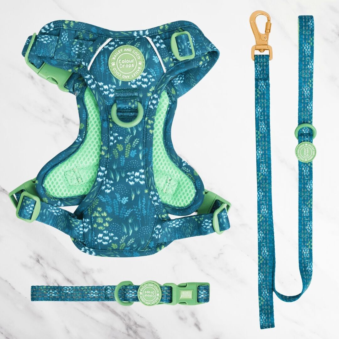 Arnés, correa y collar ajustables para perros Touch Grass