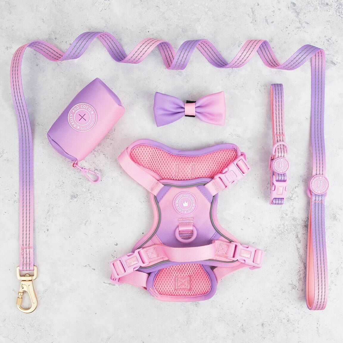 Conjunto de arnés para perros Trail & Glow® - COLOUR DROPS® - Me encanta eso para ti