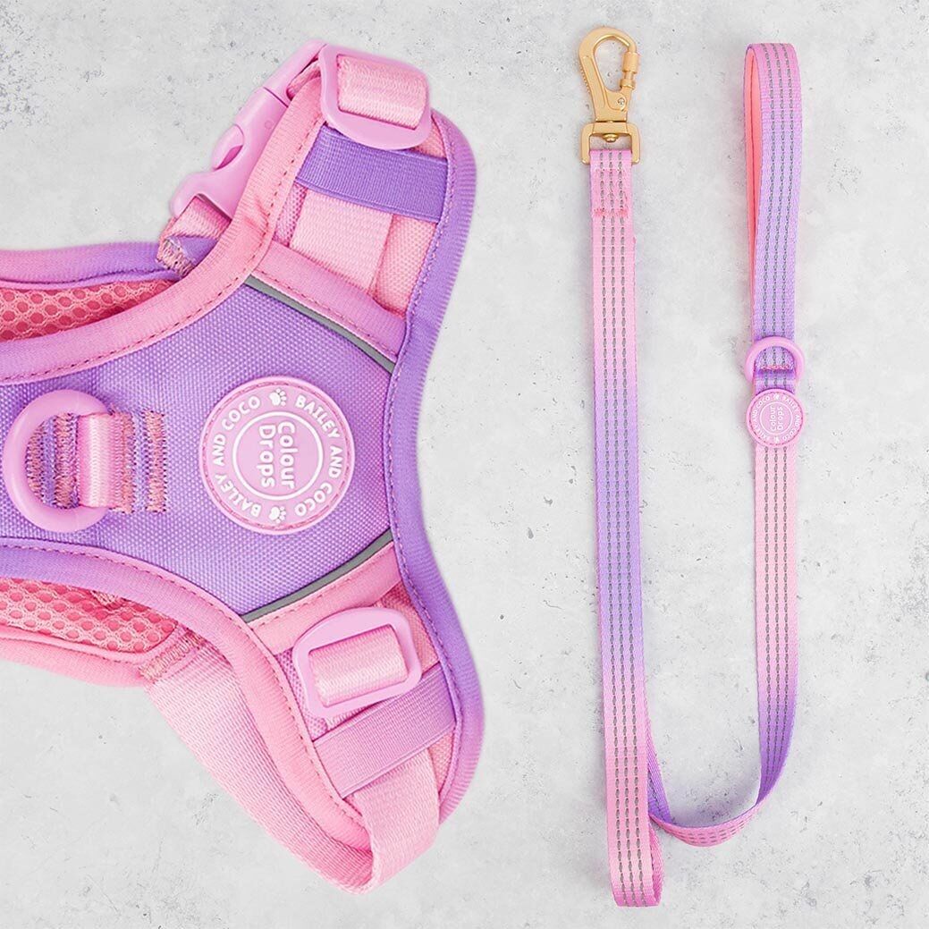 Correa para perros Trail & Glow® de 1,5 m - COLOUR DROPS® - ¡Te encanta!