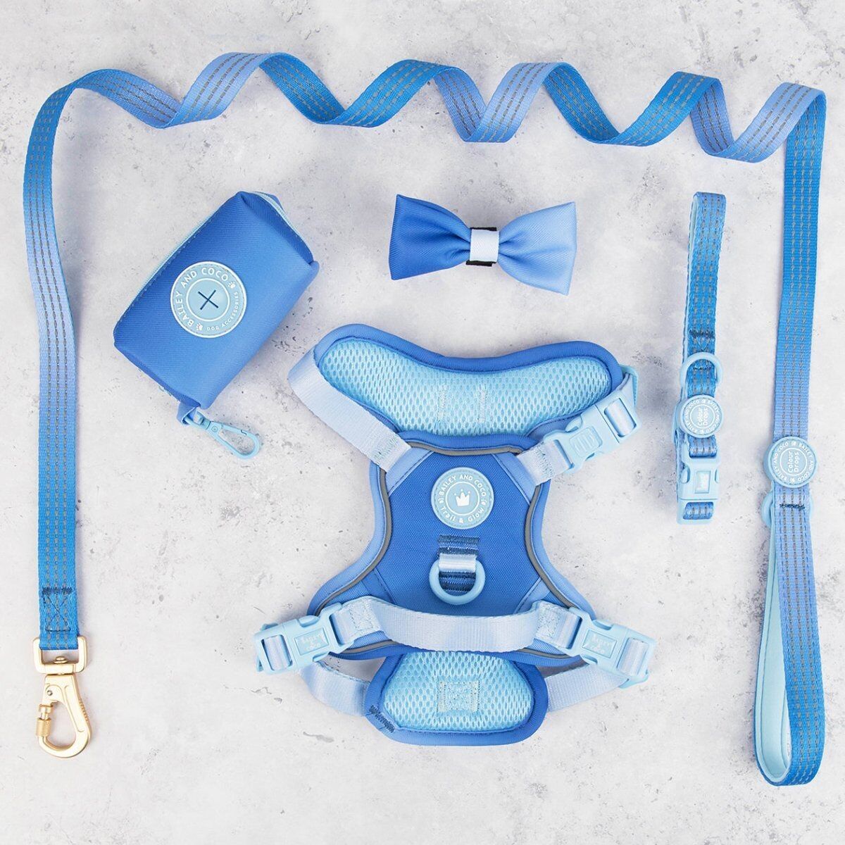 Trail & Glow® Dog Harness Bundle Set - COLOUR DROPS® - Head in the Clouds