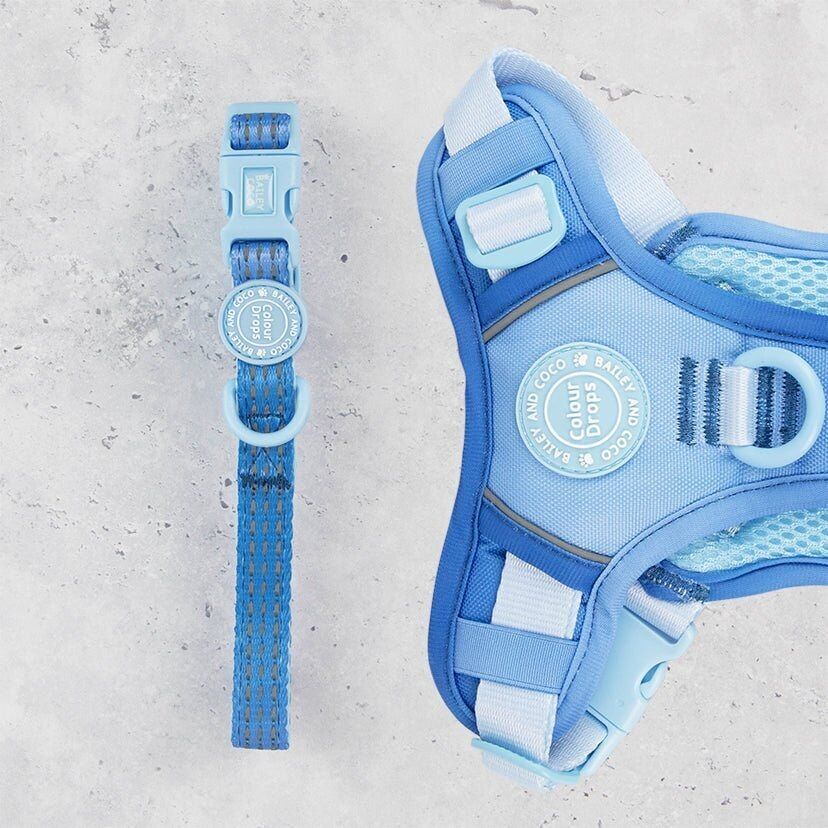 Trail & Glow® Adjustable Collar - COLOUR DROPS® - Head in the Clouds