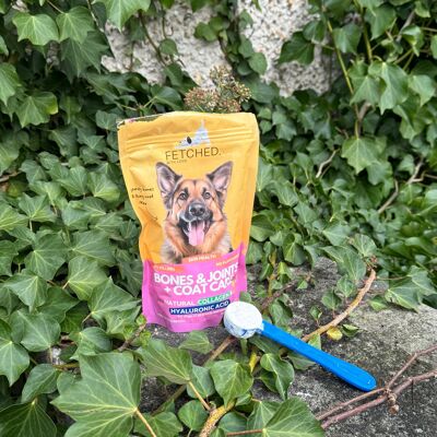 Kollagenpräparat für Hunde