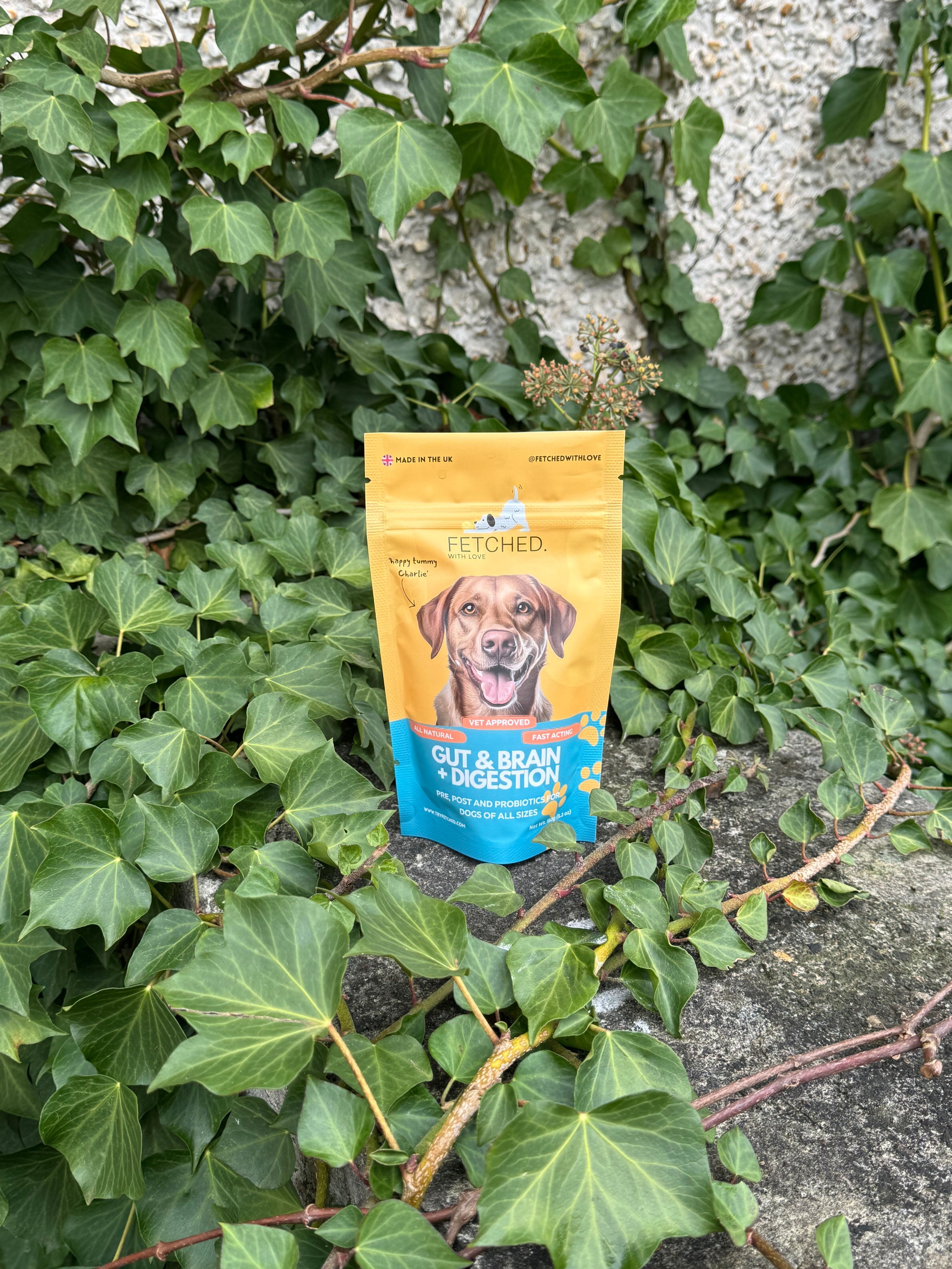 Probiotic Supplement for Dogs