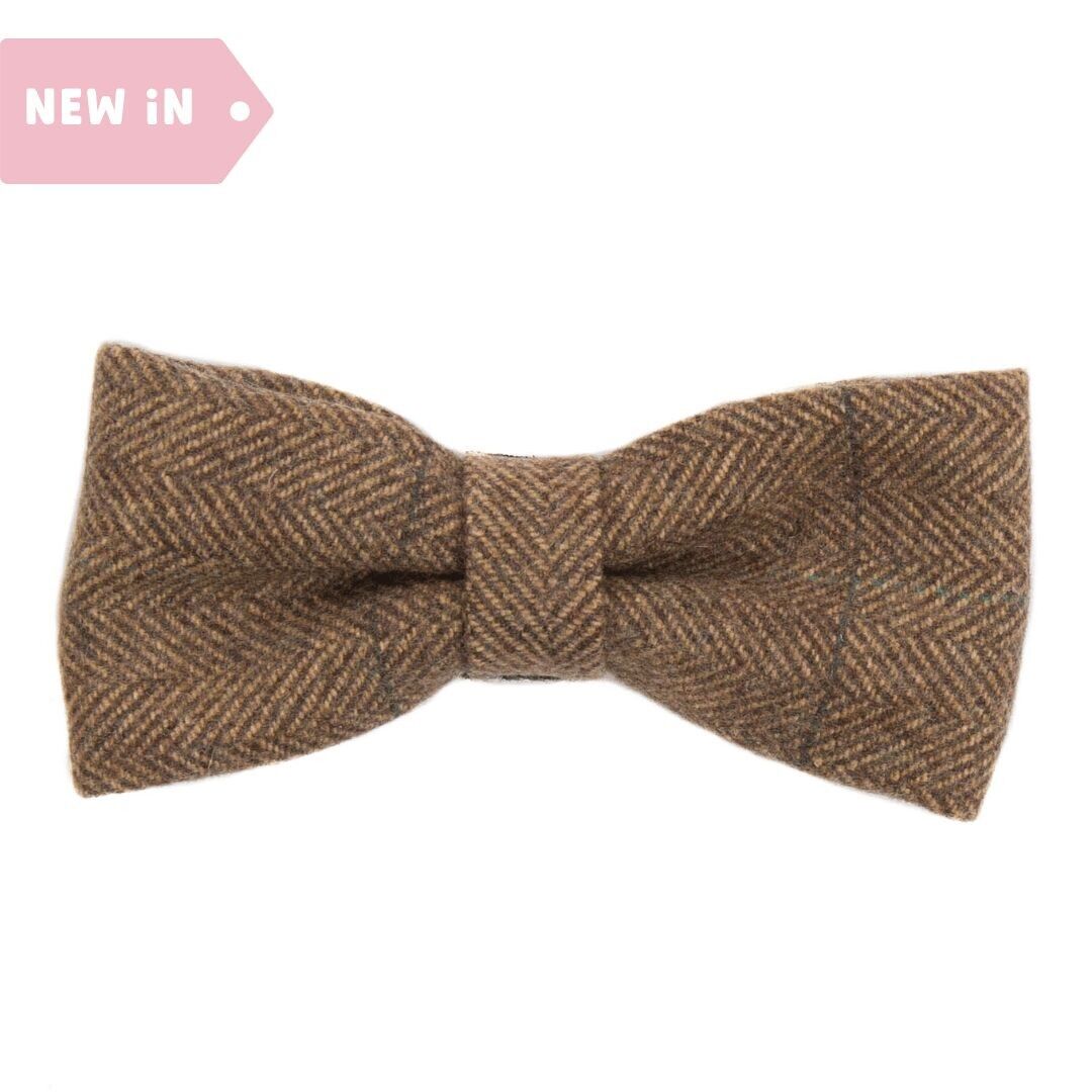 Pajarita de tweed Oxford