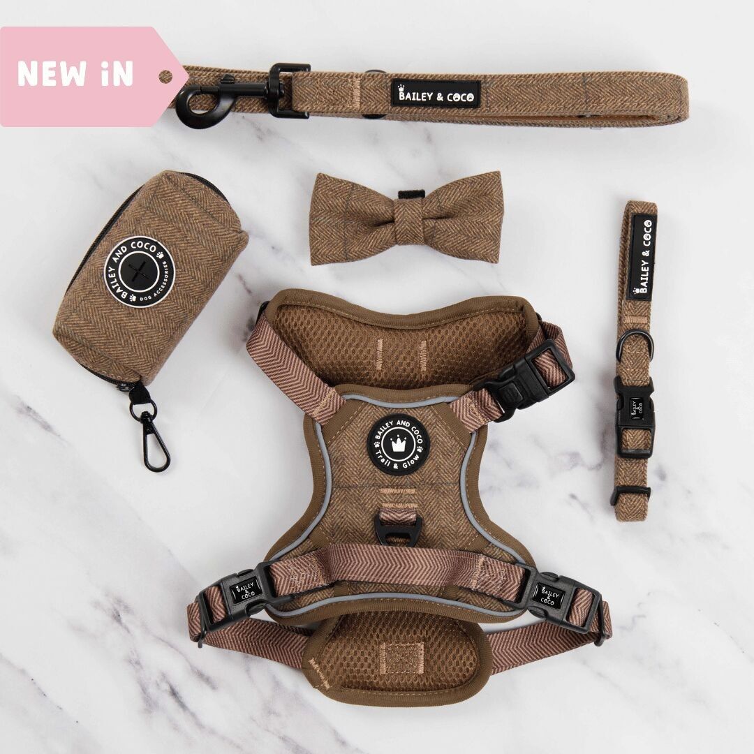 Conjunto de arnés para perros Trail & Glow® - Oxford Tweed