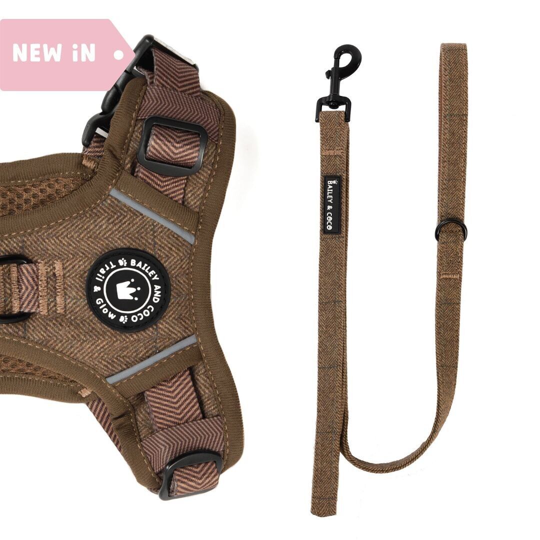 Correa para perros de 1,5 m - Oxford Tweed