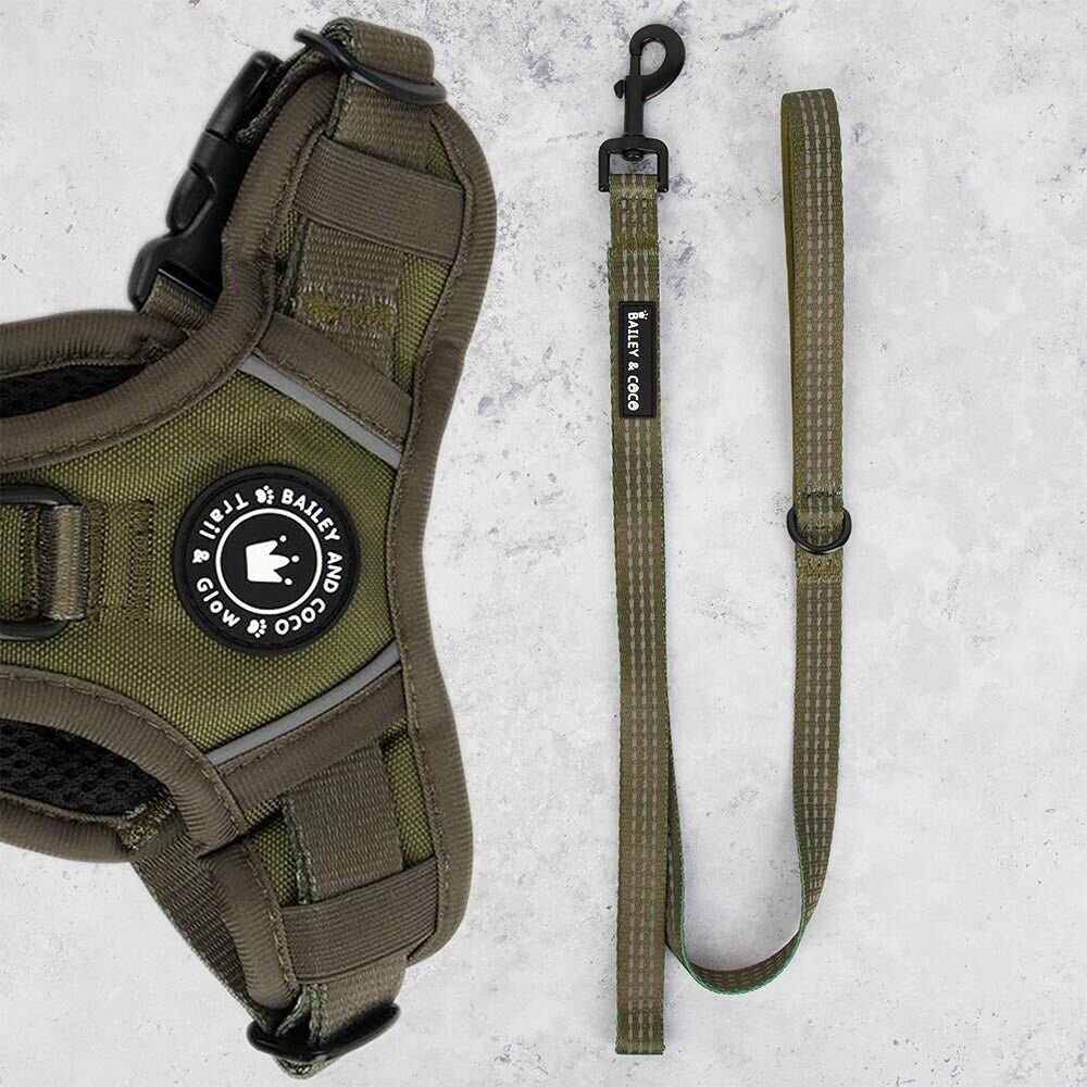 Correa de tela para perros Trail & Glow® de 1,5 m - Color caqui